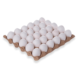 Huevos Blancos Medianos x 360 und