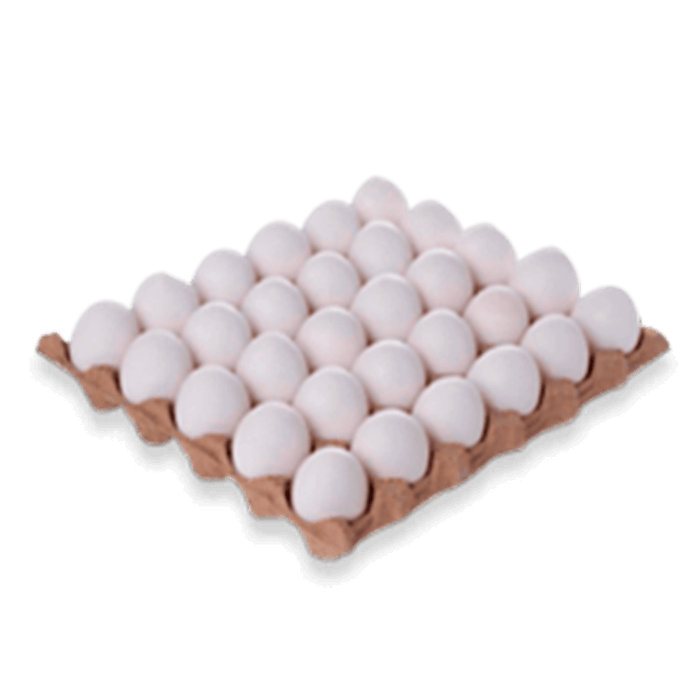 Huevos Blancos Medianos 360 Unidades
