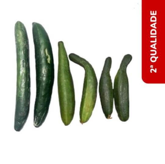 Pepino Japonês Diversos