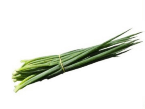 Cebolinha Maço