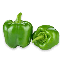 Pimentão Verde Padrão
