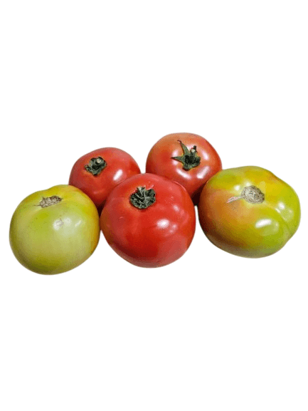 Tomate Carmem