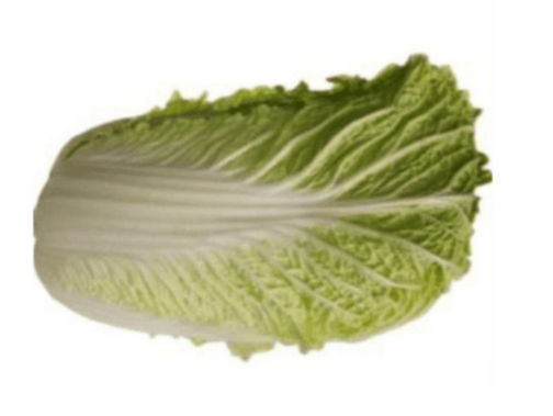 Acelga