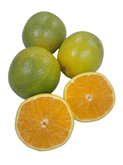 Laranja Pera Grauda