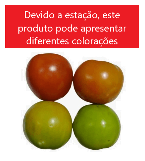 Tomate Carmem Graudo