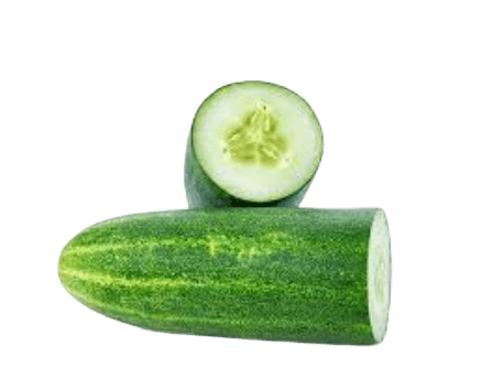 Pepino Comum